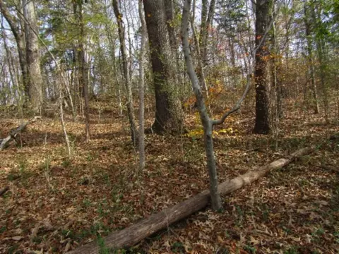 0 River Oaks Dr, Spencer, TN 38585
