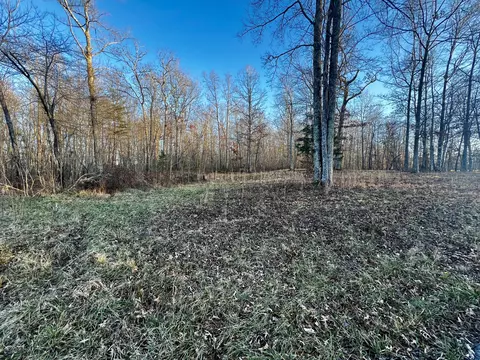 Exterior - 1002 Hargis Rd, Grimsley, TN 38565 photo 5 of 13