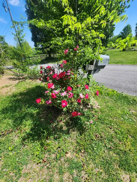 Exterior - 5904 Highway 76 E, Springfield, TN 37172 photo 8 of 22