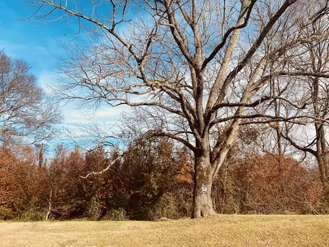 0 Faith Rae Blvd, Morrison, TN 37357