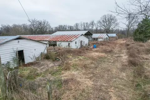 105 Staggs Rd, Ethridge, TN 38456 photo 20