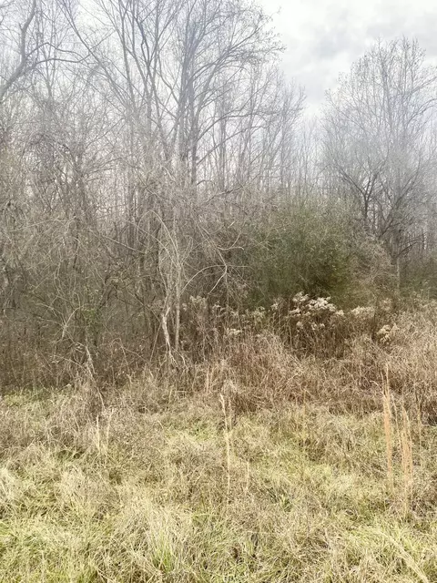 0 Hwy 70 W, Waverly, TN 37185