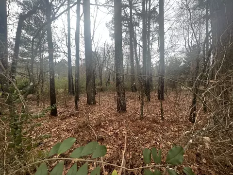 0 County Rd 14, Waterloo, AL 35677 photo 3