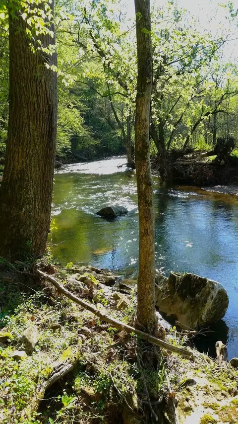 673 Old Highway 12, Ashland City, TN 37015