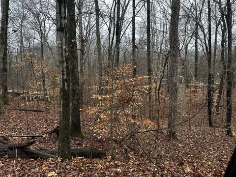 0 Glen Cove Rd, Bumpus Mills, TN 37028