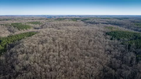 0 Ugly Creek Rd, Duck River, TN 38454