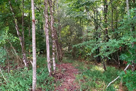 309 Hazel Dr, Centerville, TN 37033 photo 37