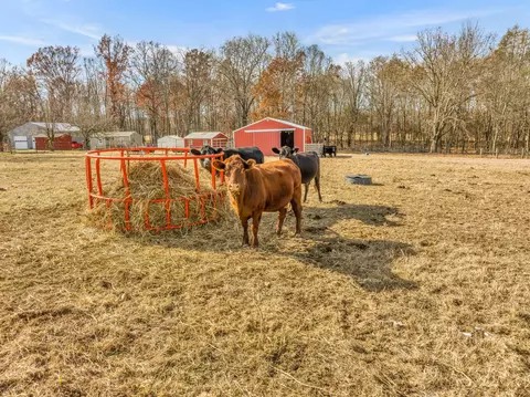 0 James Rd, Ethridge, TN 38456 photo 2