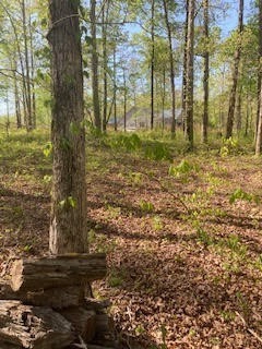 0 Hidden Highland Ct  