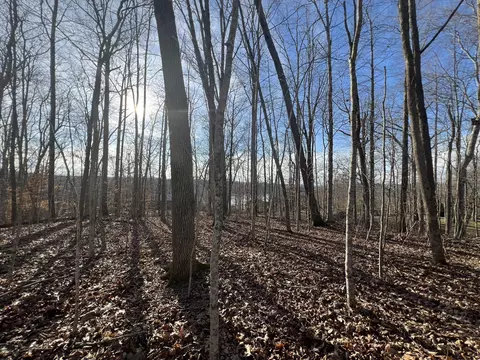 0 Lakeview Ter, Byrdstown, TN 38549