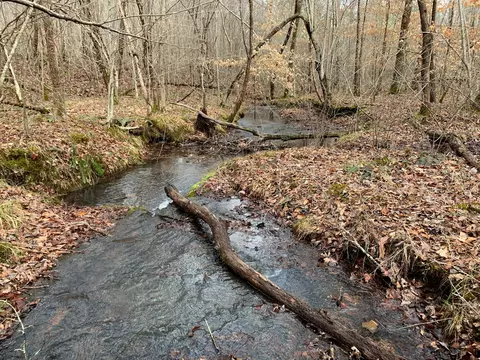 0 Forest Ridge Rd, Hohenwald, TN 38462
