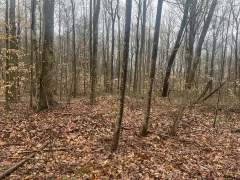 4271 Milky Way Rd, Jamestown, TN 38556