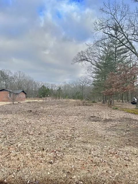 0 Wright Rd, Manchester, TN 37355 photo 3