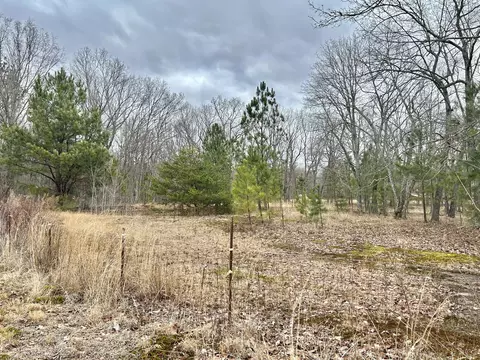 0 Wright Rd, Manchester, TN 37355 photo 6