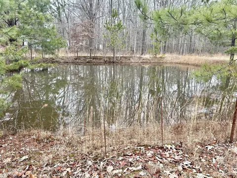 0 Wright Rd, Manchester, TN 37355 photo 8