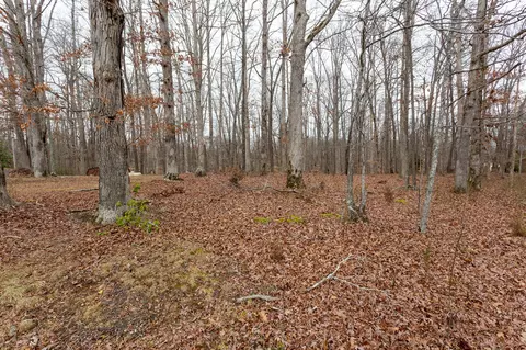 Other - 133 Byrd Rd, Dover, TN 37058 photo 10 of 10