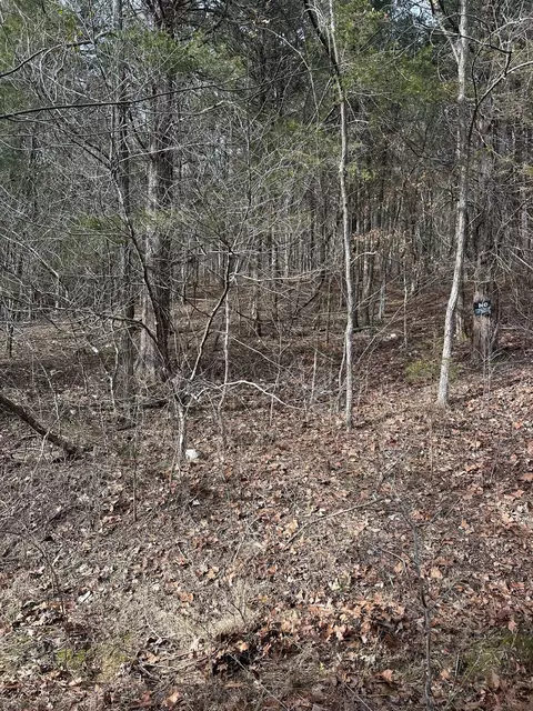 0 Red Oak Rd, Petersburg, TN 37144