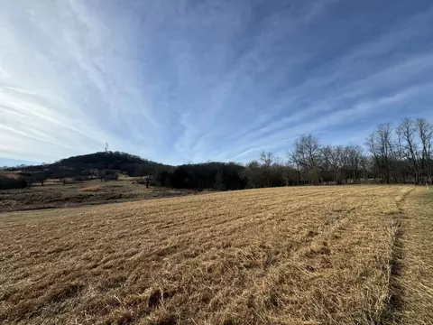 5 Templow Rd, Bethpage, TN 37022 photo 9