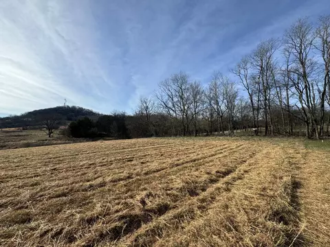 5 Templow Rd, Bethpage, TN 37022 photo 8