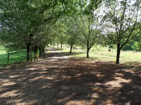 View/Area - 435 Humphrey Rd, Walling, TN 38587 photo 4 of 8