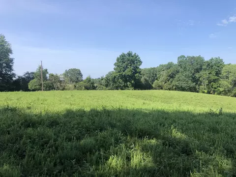 0 Murphy Hollow Road Tract 3, Vanleer, TN 37181