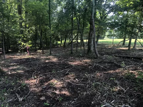 0 Murphy Hollow Road Tract 4, Vanleer, TN 37181