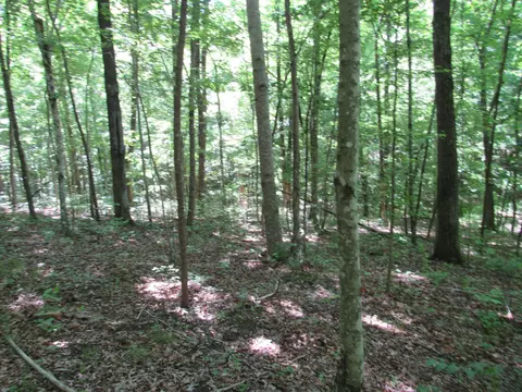 72 War Eagle Dr, Cedar Grove, TN 38321 photo 1