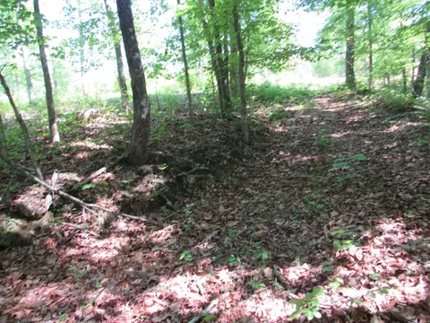 64 War Eagle Dr, Cedar Grove, TN 38321 photo 1