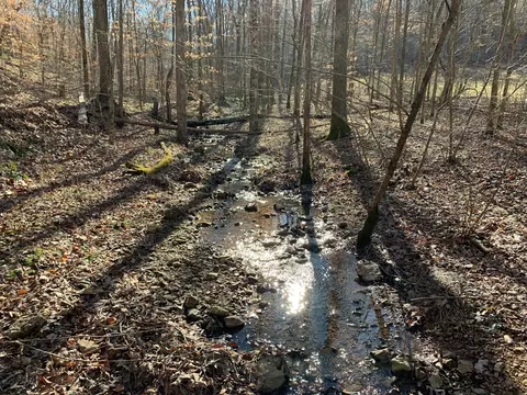 0 Weatherford Rd, Lutts, TN 38471
