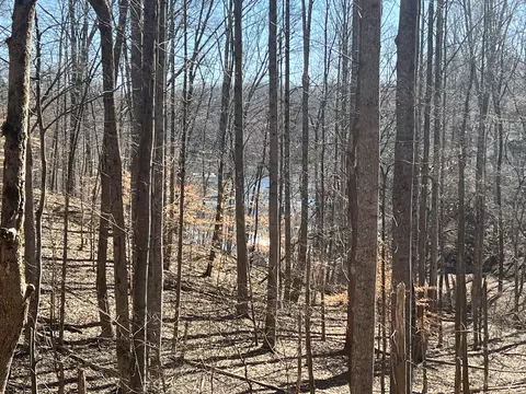 137 Gennies Way, Lynchburg, TN 37352