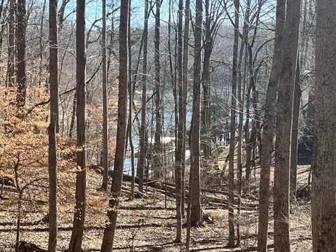 138 Gennies Way, Lynchburg, TN 37352