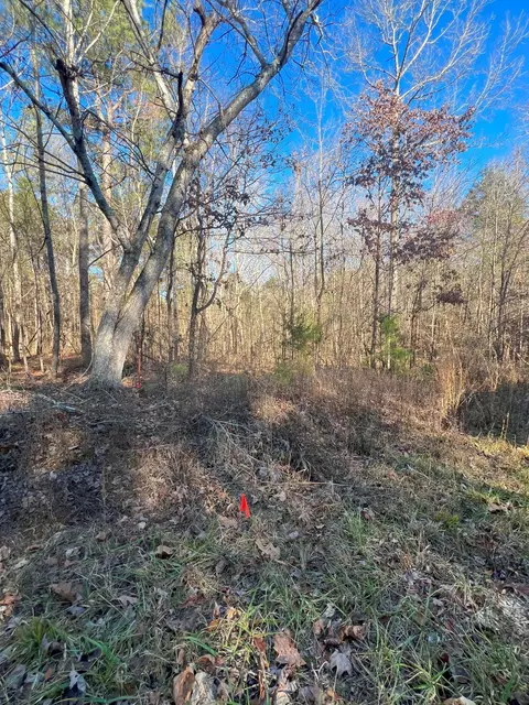0 Bethel Farm Ln, Camden, TN 38320