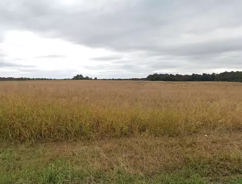 1 Moors Camp Hwy, Benton, KY 42025