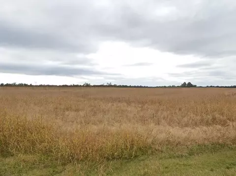 0 Moors Camp Hwy, Benton, KY 42025