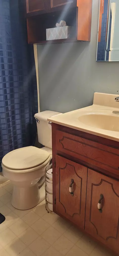 Bath - 145 Ginger Ct, Dover, TN 37058 photo 8 of 16