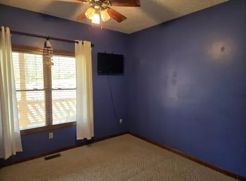 Other - 145 Ginger Ct, Dover, TN 37058 photo 3 of 12