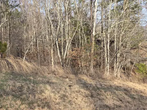 0 Golf Course Ln And Sycamore Ave, Waverly, TN 37185