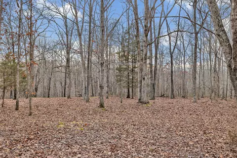 View/Area - 2987 Highway 100, Centerville, TN 37033 photo 1 of 4
