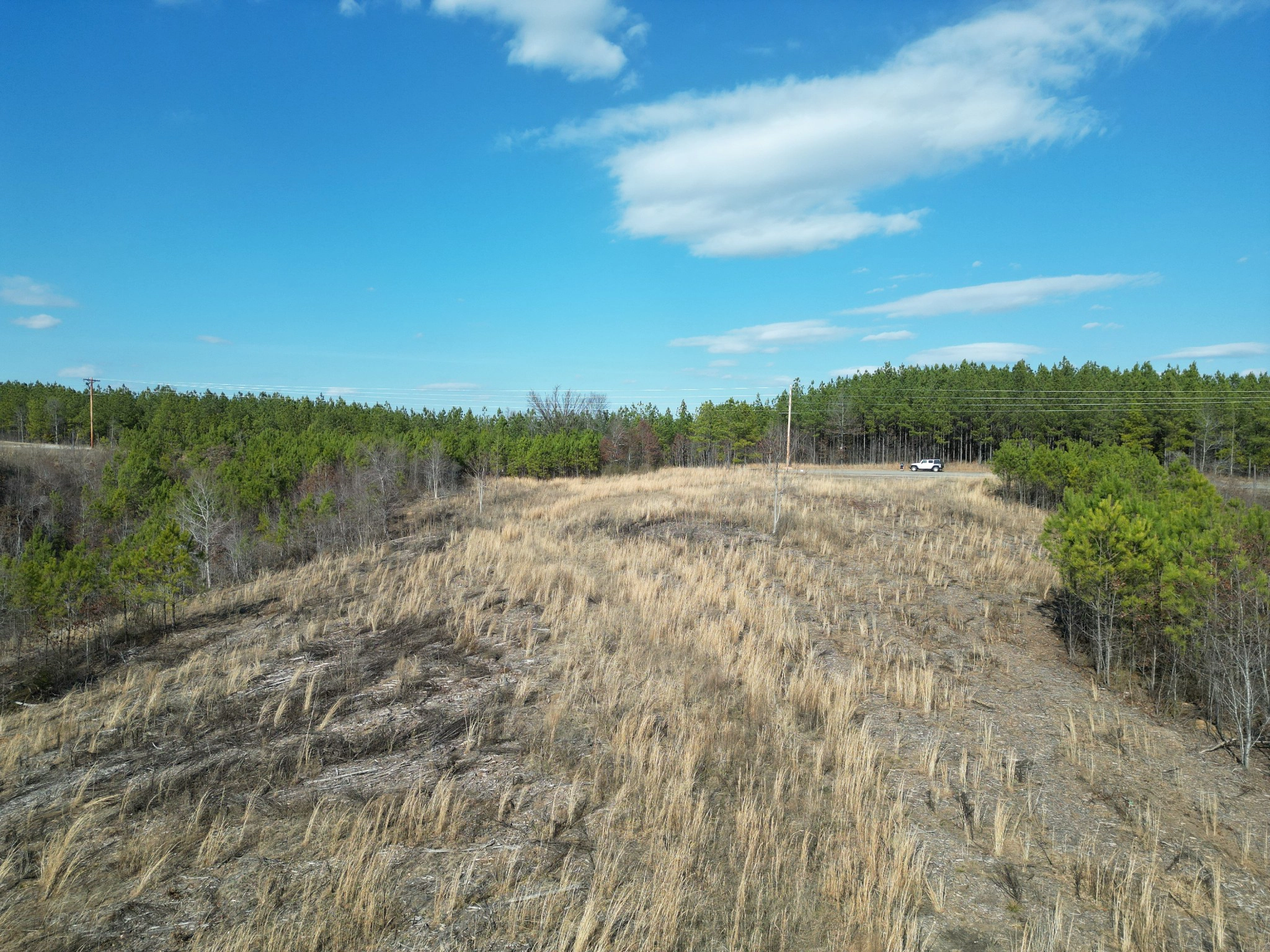 7986 Old Hohenwald Rd  