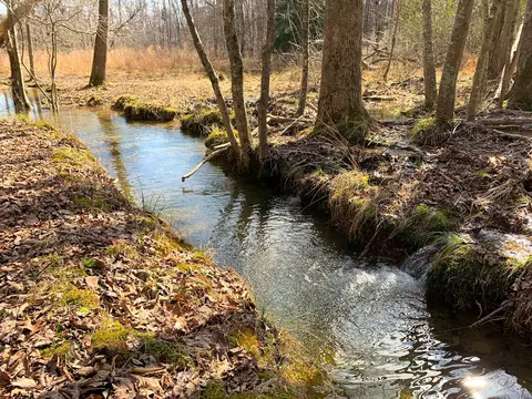 0 Keeton Hollow Rd, Collinwood, TN 38450