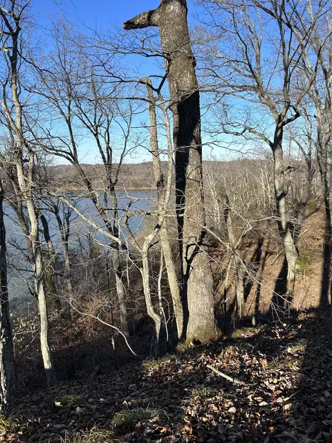 910 Float Ln, Waverly, TN 37185 photo 33
