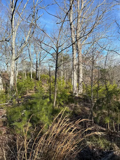 910 Float Ln, Waverly, TN 37185 photo 15