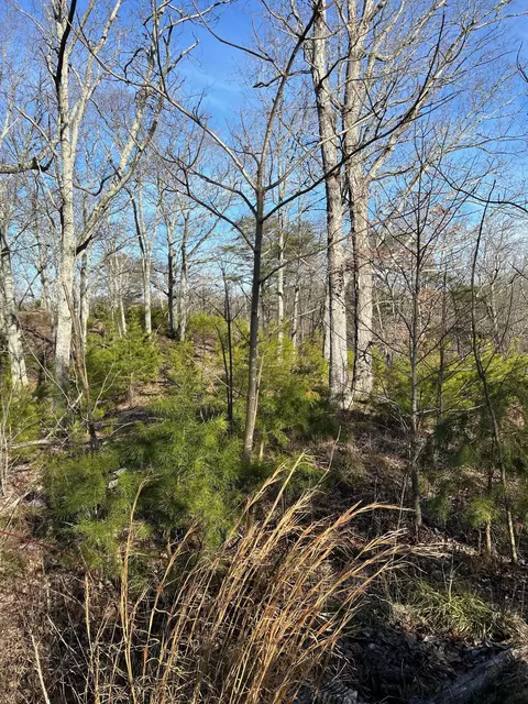 910 Float Ln, Waverly, TN 37185 photo 36