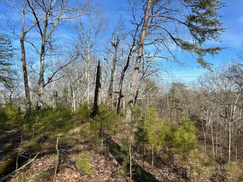 910 Float Ln, Waverly, TN 37185 photo 26