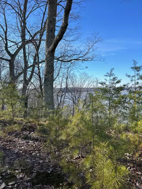 910 Float Ln, Waverly, TN 37185 photo 30