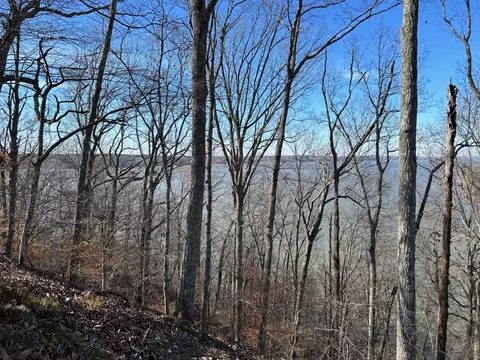910 Float Ln, Waverly, TN 37185 photo 20