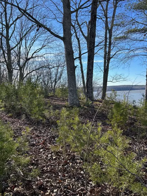 910 Float Ln, Waverly, TN 37185 photo 22