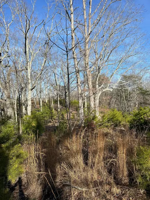 910 Float Ln, Waverly, TN 37185 photo 39