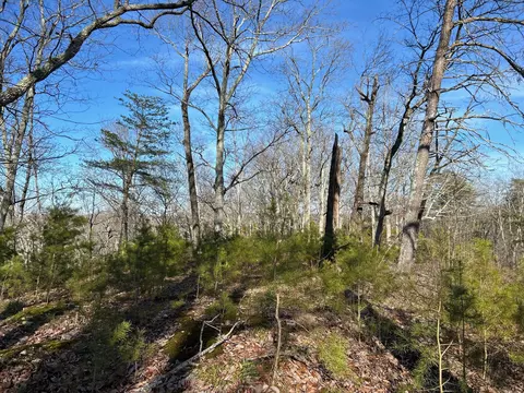 910 Float Ln, Waverly, TN 37185 photo 12