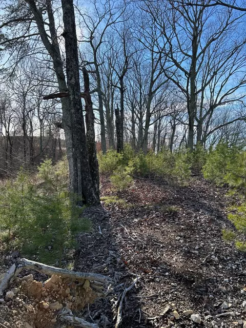 910 Float Ln, Waverly, TN 37185 photo 32